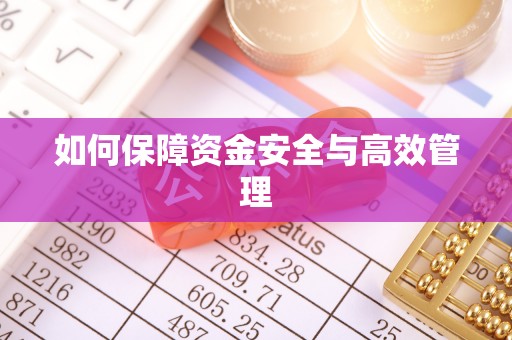 南陵如何保障资金安全与高效管理