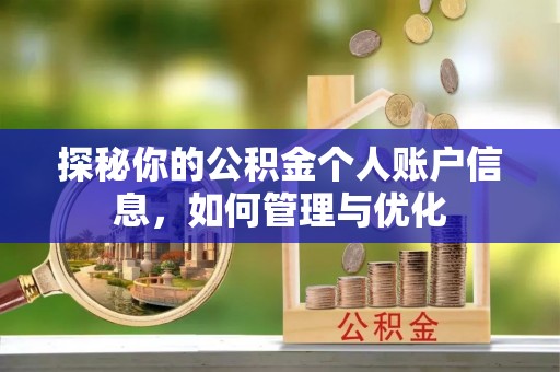 南陵探秘你的公积金个人账户信息，如何管理与优化