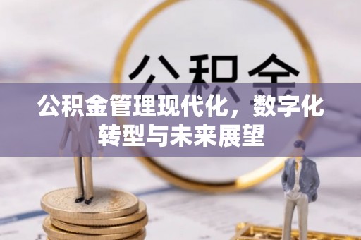 南陵公积金管理现代化，数字化转型与未来展望