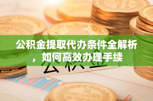 南陵公积金提取代办条件全解析，如何高效办理手续