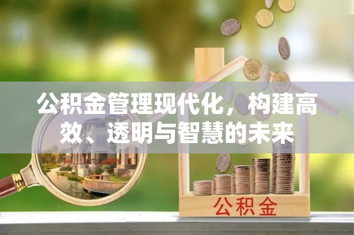 南陵公积金管理现代化，构建高效、透明与智慧的未来