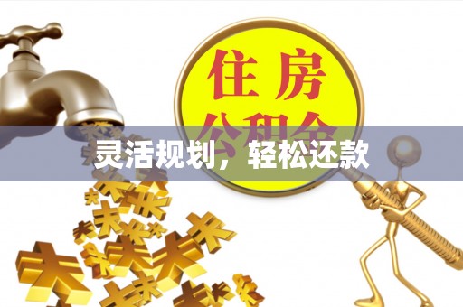 南陵灵活规划，轻松还款