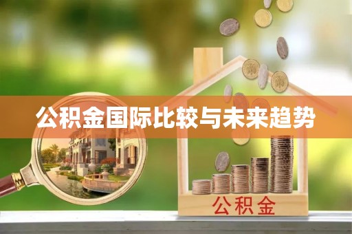 南陵公积金国际比较与未来趋势