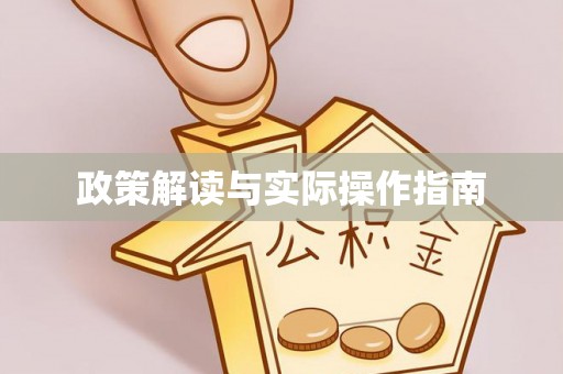 南陵政策解读与实际操作指南