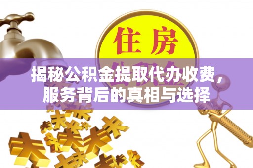 南陵揭秘公积金提取代办收费，服务背后的真相与选择
