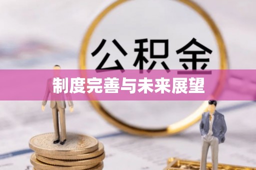 南陵制度完善与未来展望