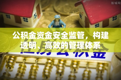 南陵公积金资金安全监管，构建透明、高效的管理体系
