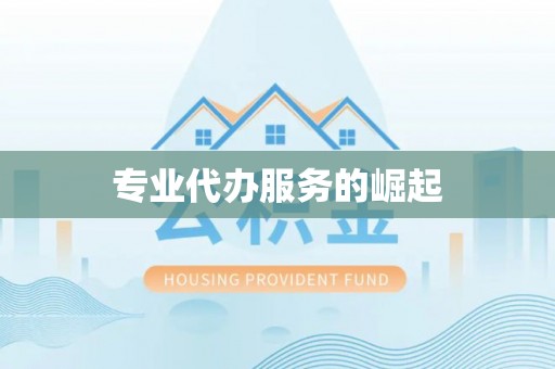 南陵专业代办服务的崛起