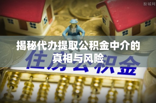 南陵揭秘代办提取公积金中介的真相与风险