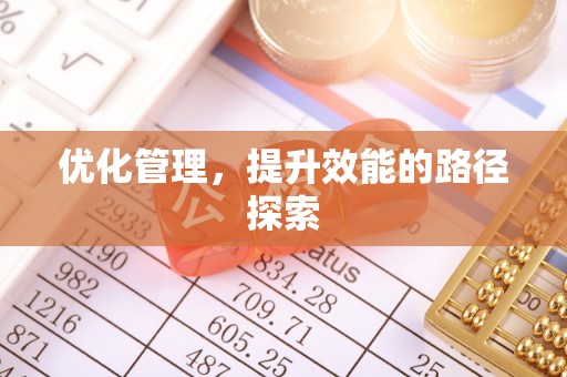 南陵优化管理，提升效能的路径探索