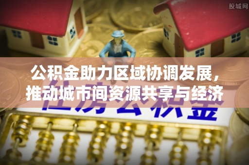 南陵公积金助力区域协调发展，推动城市间资源共享与经济均衡发展
