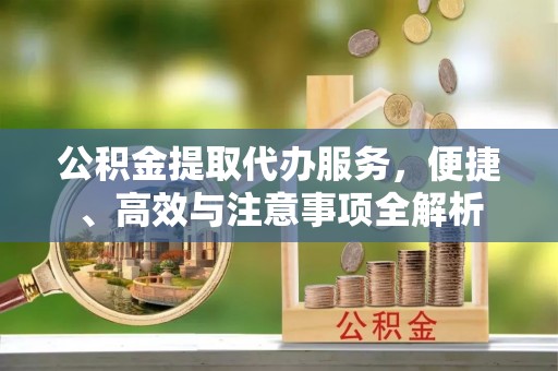 南陵公积金提取代办服务，便捷、高效与注意事项全解析