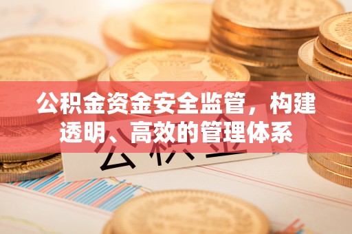南陵公积金资金安全监管，构建透明、高效的管理体系