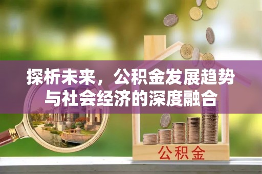 南陵探析未来，公积金发展趋势与社会经济的深度融合