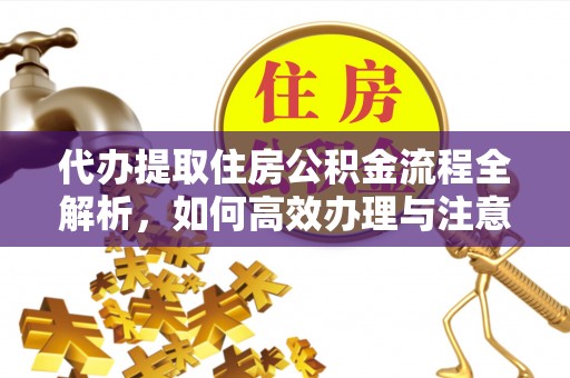 南陵代办提取住房公积金流程全解析，如何高效办理与注意事项