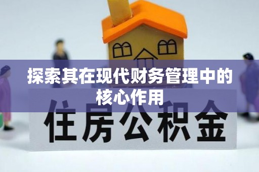 南陵探索其在现代财务管理中的核心作用