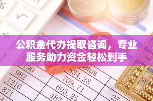 南陵公积金代办提取咨询，专业服务助力资金轻松到手