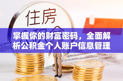 南陵掌握你的财富密码，全面解析公积金个人账户信息管理