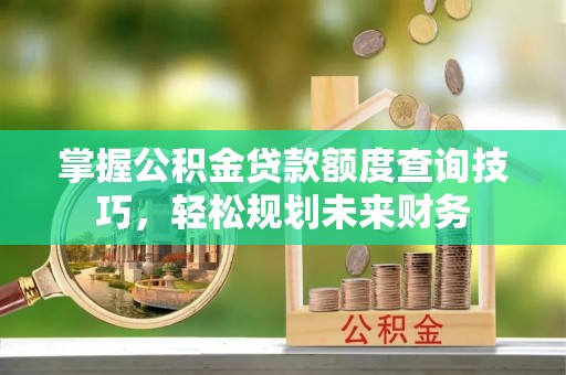 南陵掌握公积金贷款额度查询技巧，轻松规划未来财务