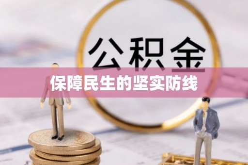 南陵保障民生的坚实防线