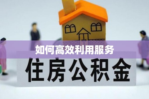 南陵如何高效利用服务