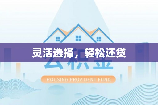 南陵灵活选择，轻松还贷
