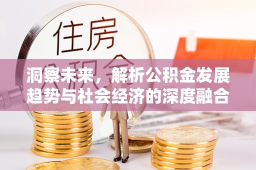 南陵洞察未来，解析公积金发展趋势与社会经济的深度融合