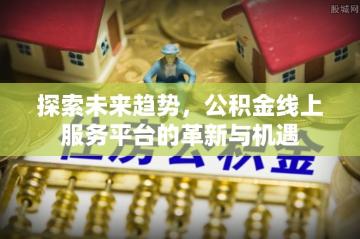 南陵探索未来趋势，公积金线上服务平台的革新与机遇