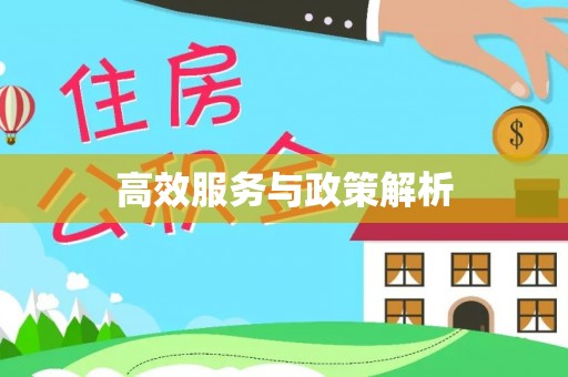 南陵高效服务与政策解析