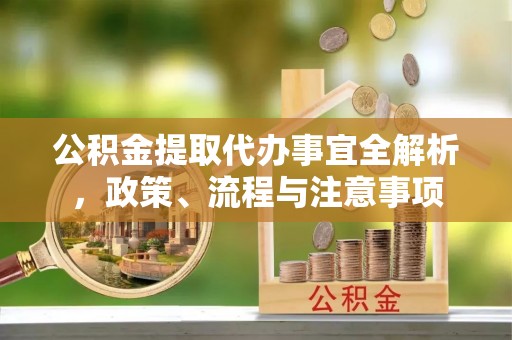 南陵公积金提取代办事宜全解析，政策、流程与注意事项
