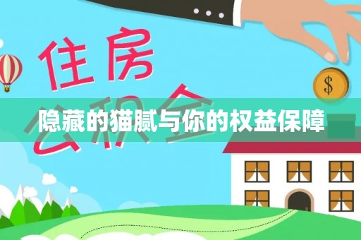 南陵隐藏的猫腻与你的权益保障