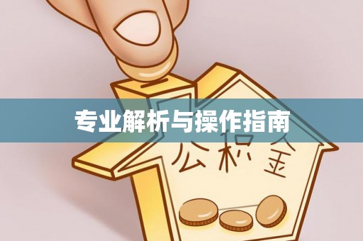 南陵专业解析与操作指南