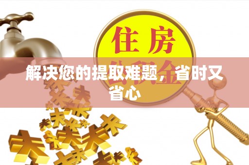 南陵解决您的提取难题，省时又省心