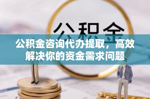 南陵公积金咨询代办提取，高效解决你的资金需求问题