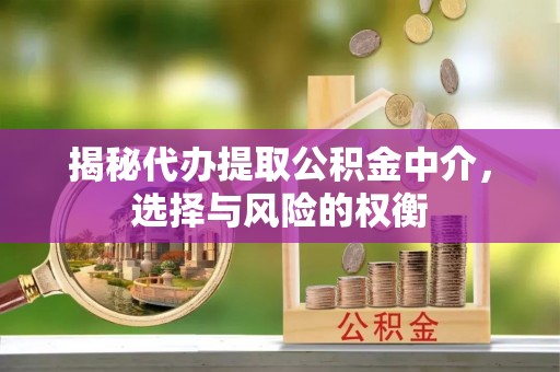 南陵揭秘代办提取公积金中介，选择与风险的权衡