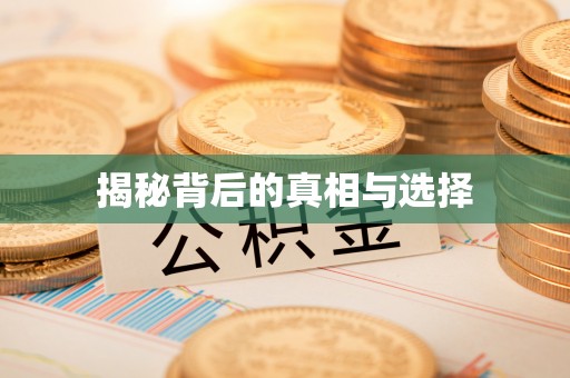 南陵揭秘背后的真相与选择