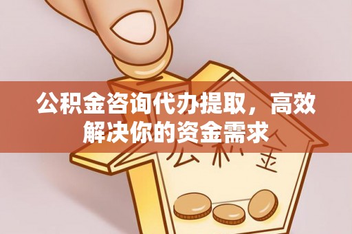 南陵公积金咨询代办提取，高效解决你的资金需求