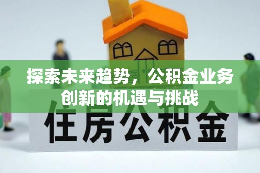 南陵探索未来趋势，公积金业务创新的机遇与挑战