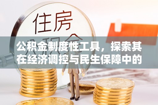南陵公积金制度性工具，探索其在经济调控与民生保障中的重要作用