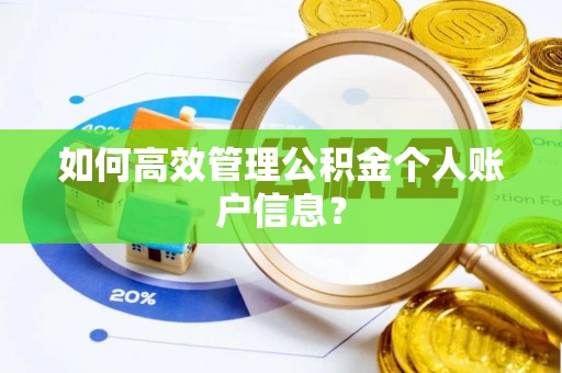 南陵如何高效管理公积金个人账户信息？