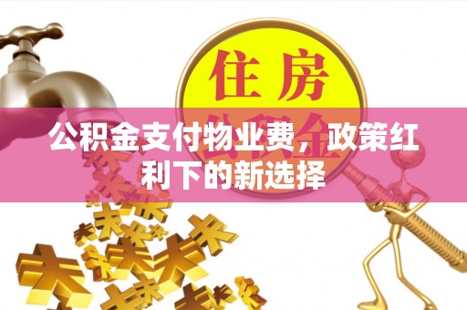 南陵公积金支付物业费，政策红利下的新选择