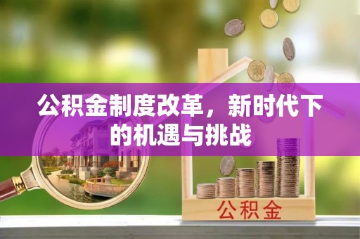 南陵公积金制度改革，新时代下的机遇与挑战