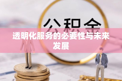 南陵透明化服务的必要性与未来发展