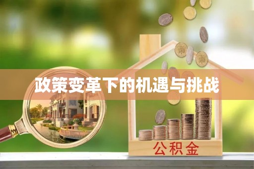 南陵政策变革下的机遇与挑战