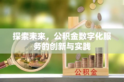 南陵探索未来，公积金数字化服务的创新与实践
