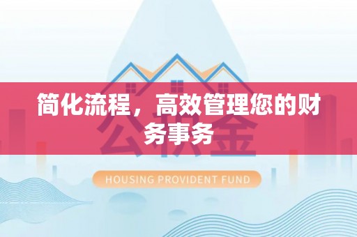 南陵简化流程，高效管理您的财务事务
