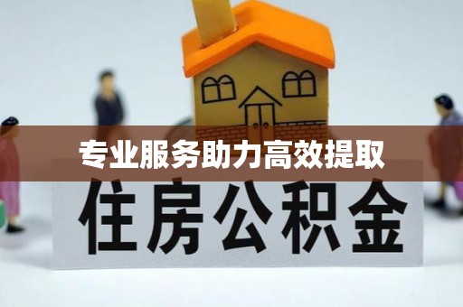 南陵专业服务助力高效提取