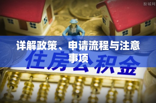 南陵详解政策、申请流程与注意事项