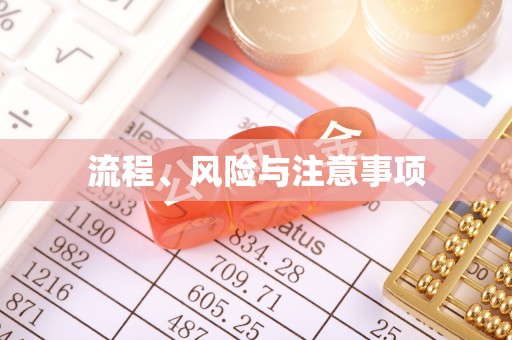 南陵流程、风险与注意事项