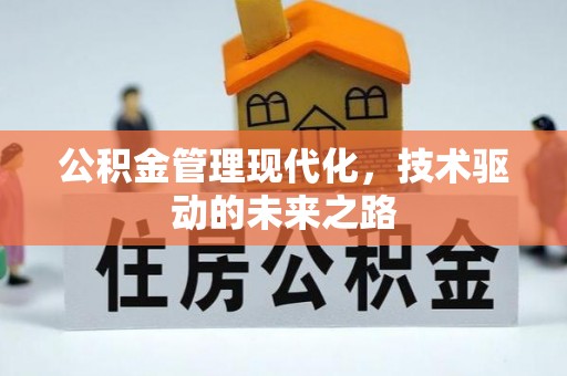 南陵公积金管理现代化，技术驱动的未来之路